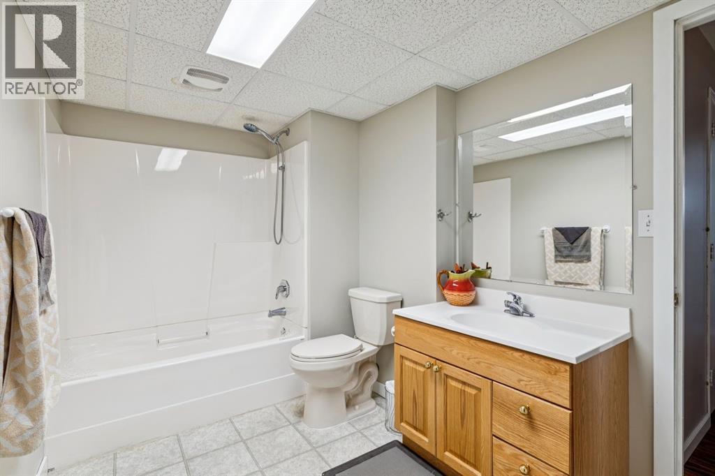 485 Big Springs Drive SE, Airdrie, Alberta  T4A 1A3 - Photo 33 - A2326278