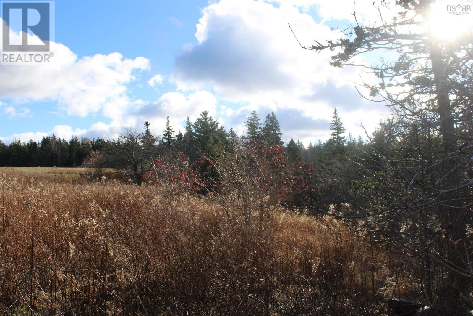 9230 St Croix Cove Road, St. Croix, Nova Scotia  B0S 1L0 - Photo 24 - 202600736