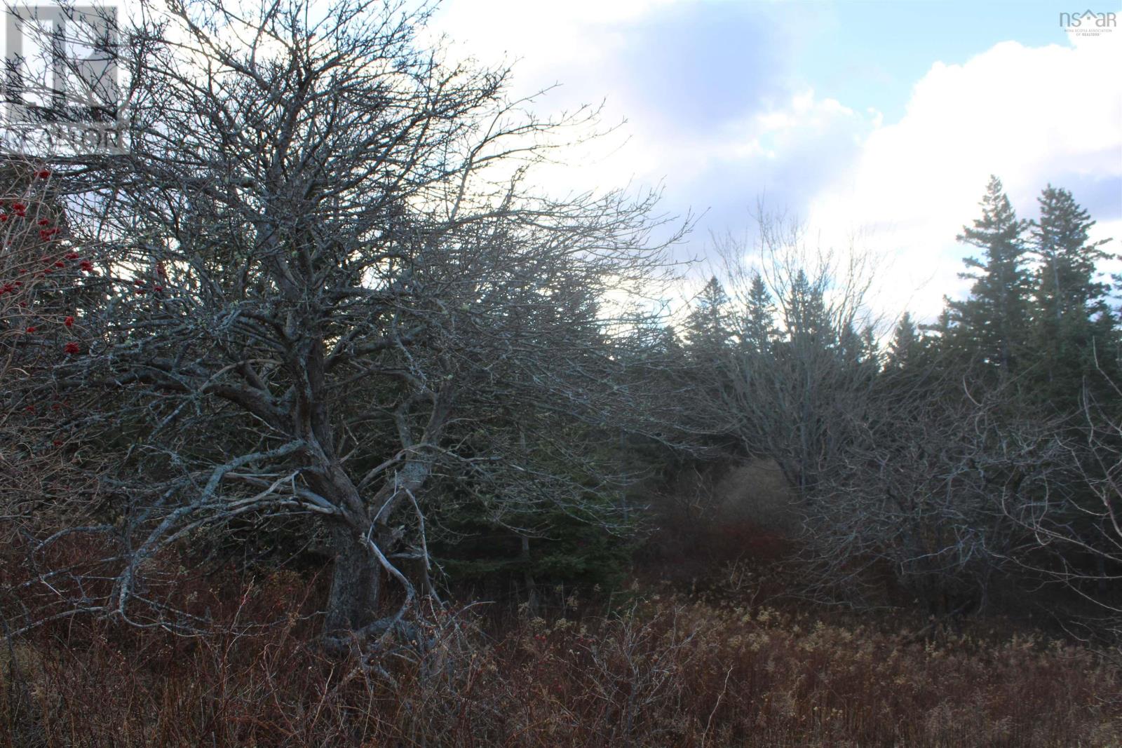 9230 St Croix Cove Road, St. Croix, Nova Scotia  B0S 1L0 - Photo 14 - 202600736