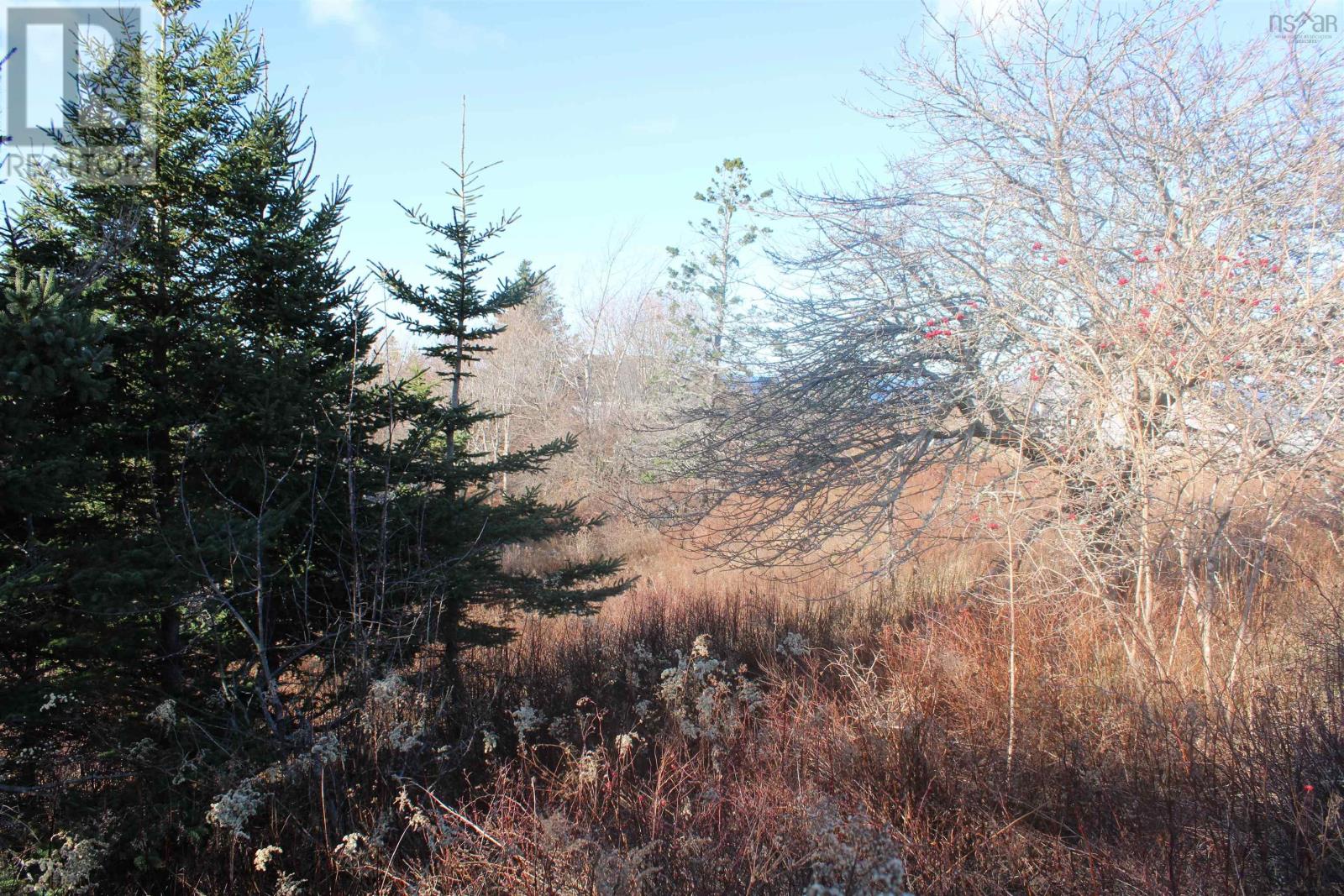 9230 St Croix Cove Road, St. Croix, Nova Scotia  B0S 1L0 - Photo 37 - 202600736