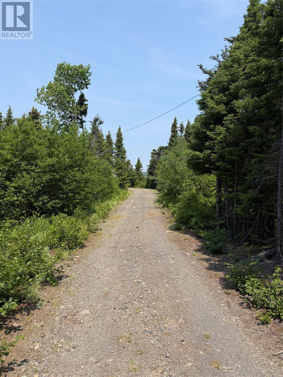 Lot 7 Other, Winterbrook, Newfoundland & Labrador  A0C 1V0 - Photo 11 - 1300157