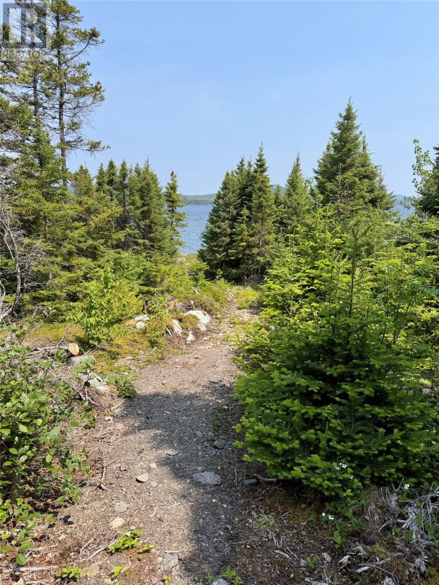 Lot 7 Other, Winterbrook, Newfoundland & Labrador  A0C 1V0 - Photo 8 - 1300157