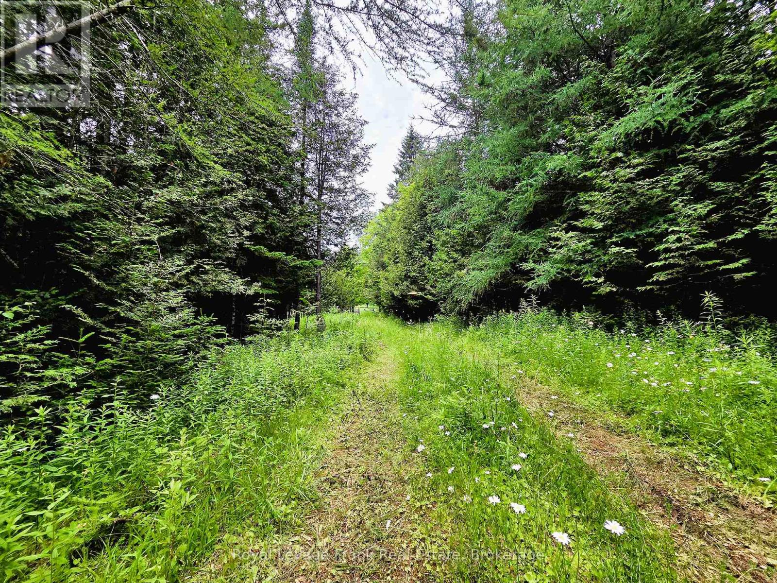 1804 Clydesdale Road, North Kawartha, Ontario  K0L 1A0 - Photo 31 - X13491146