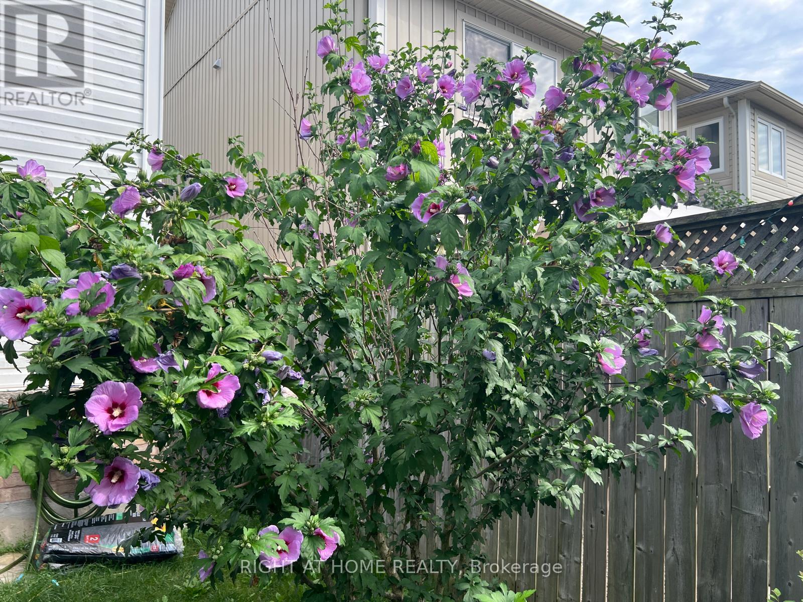 39 Golden Iris Crescent, Hamilton, Ontario  L8B 0R6 - Photo 41 - X13545000