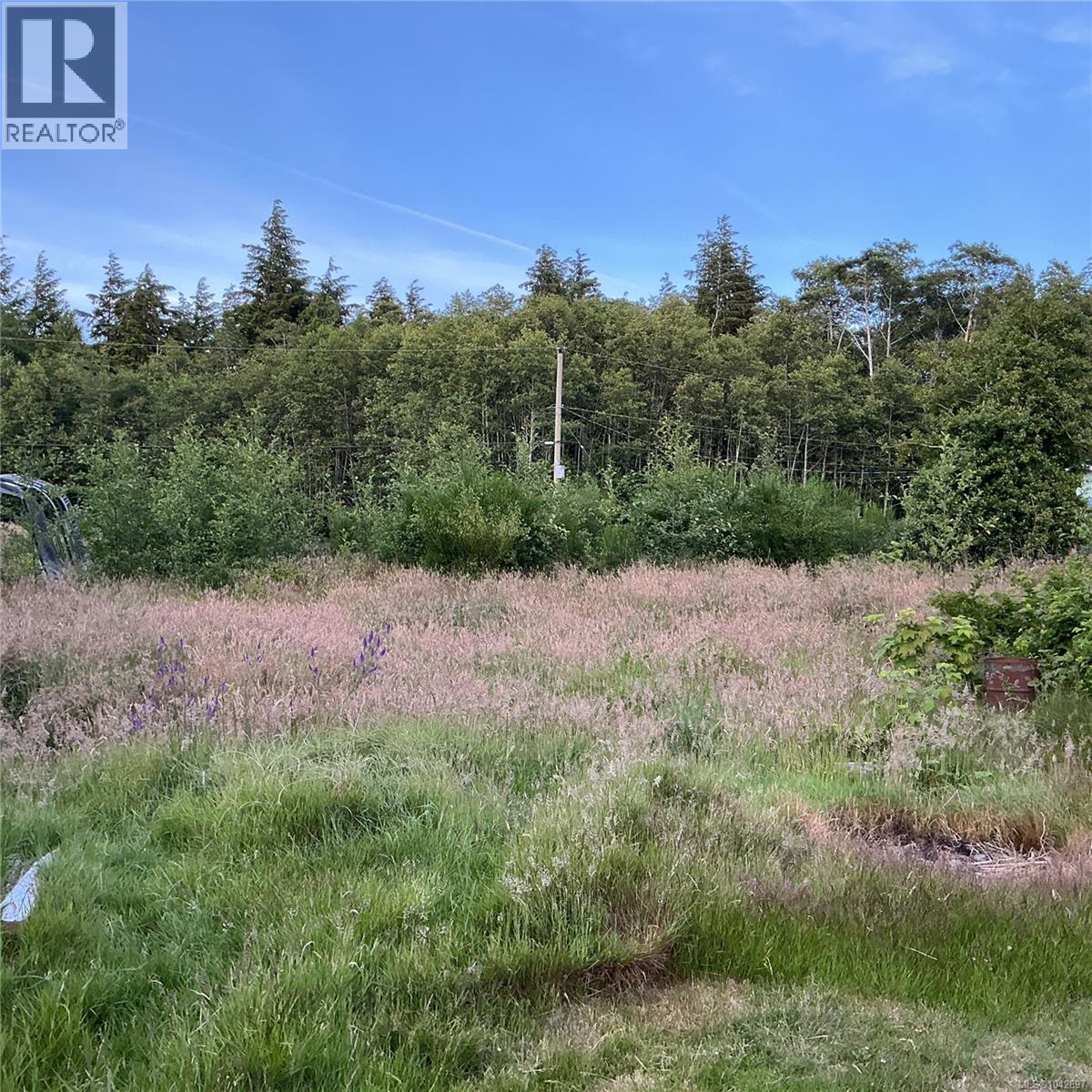 25 1st St, Sointula, British Columbia  V0N 3E0 - Photo 2 - 1042697