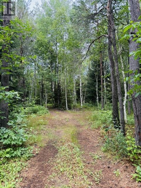 Pt 1, Plan 53r-20016 River Rd, Massey, Ontario  P0P 1P0 - Photo 20 - 2129075