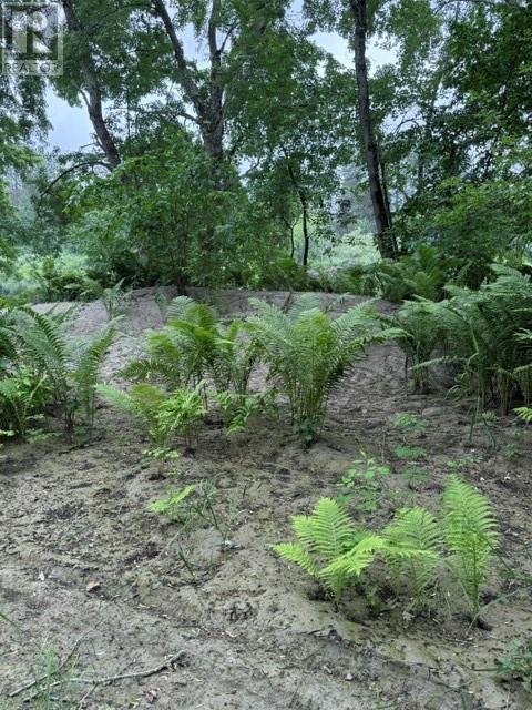 Pt 1, Plan 53r-20016 River Rd, Massey, Ontario  P0P 1P0 - Photo 23 - 2129075