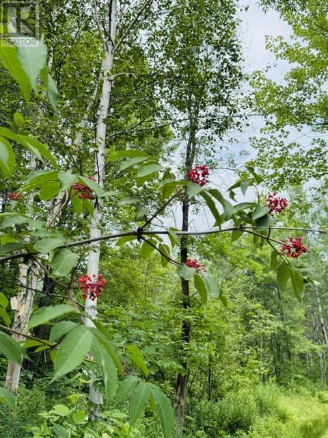 Pt 1, Plan 53r-20016 River Rd, Massey, Ontario  P0P 1P0 - Photo 26 - 2129075