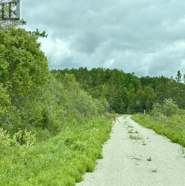 Pt 1, Plan 53r-20016 River Rd, Massey, Ontario  P0P 1P0 - Photo 4 - 2129075