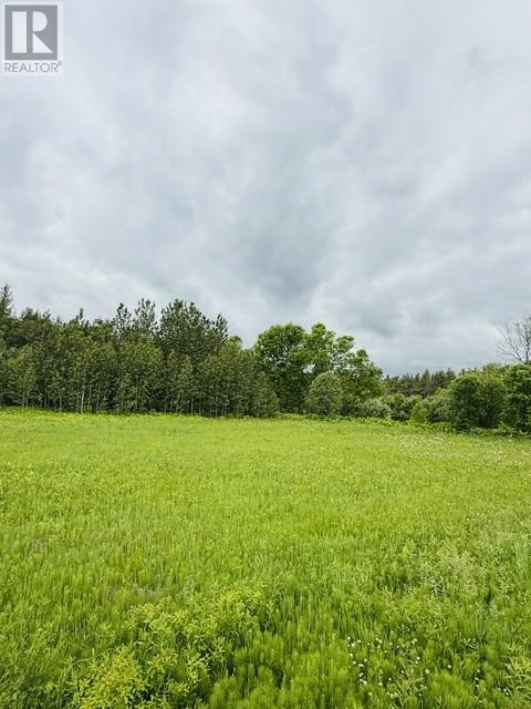 Pt 1, Plan 53r-20016 River Rd, Massey, Ontario  P0P 1P0 - Photo 5 - 2129075