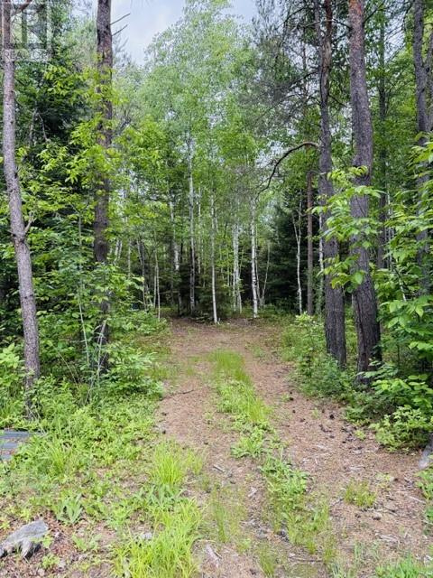Pt 1, Plan 53r-20016 River Rd, Massey, Ontario  P0P 1P0 - Photo 6 - 2129075