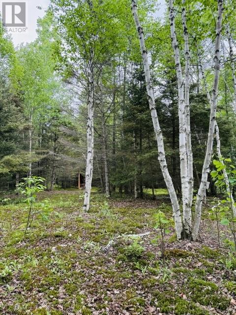 Pt 1, Plan 53r-20016 River Rd, Massey, Ontario  P0P 1P0 - Photo 7 - 2129075