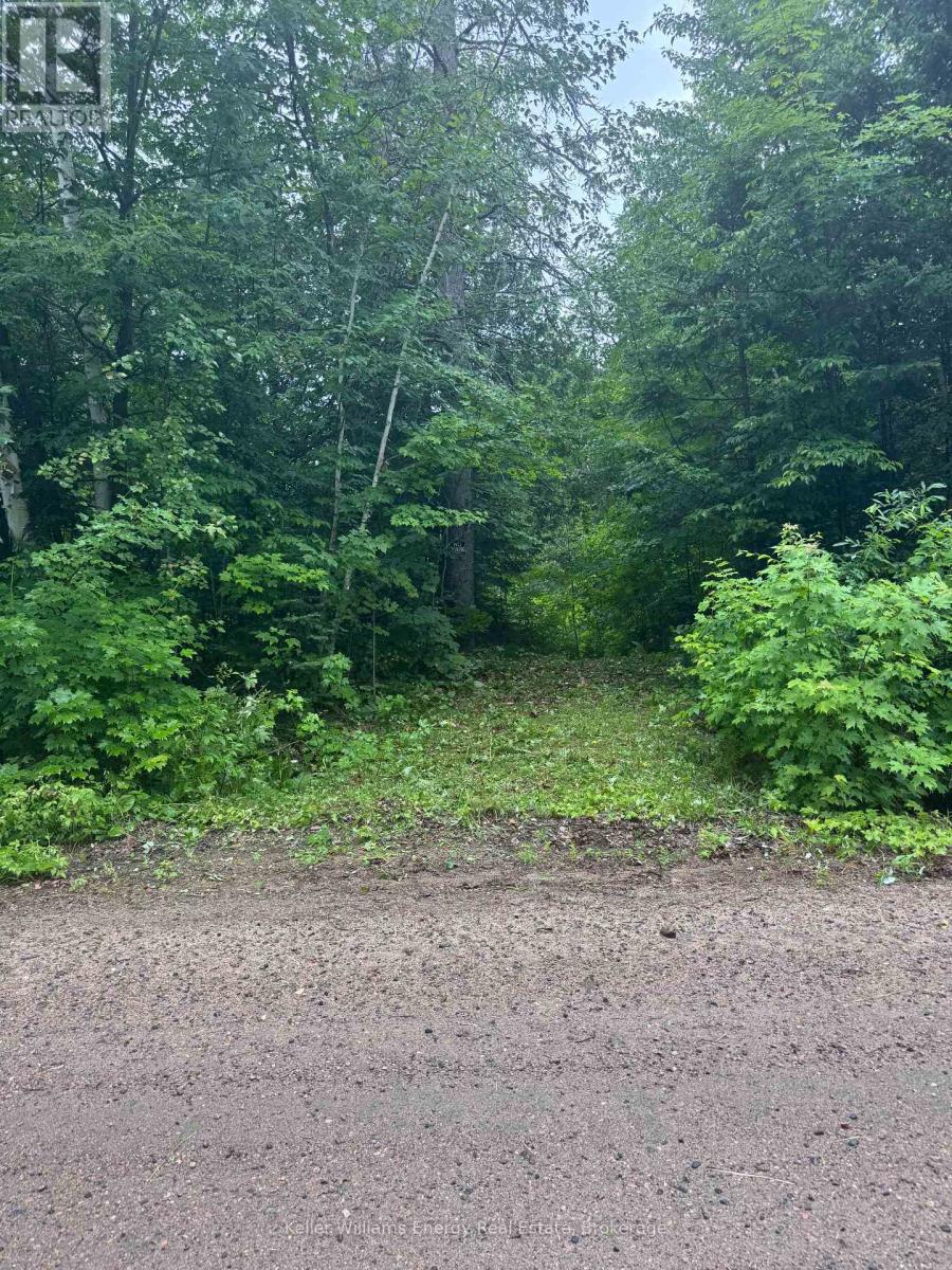 N/a Cross Country Road, Hastings Highlands, Ontario  K0L 1C0 - Photo 2 - X13546108