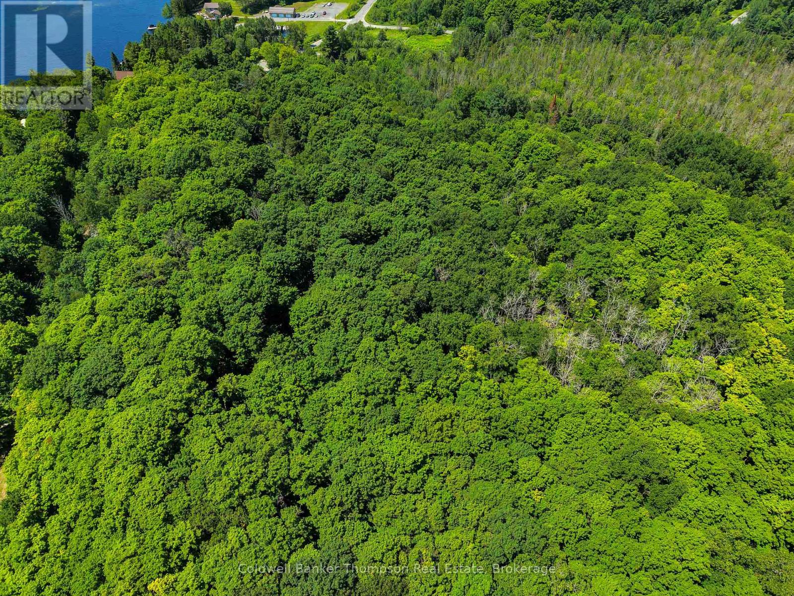 0 South Drive And Vernon Shores Boulevard, Huntsville, Ontario P1H 2J2 - Photo 3 - X13546122