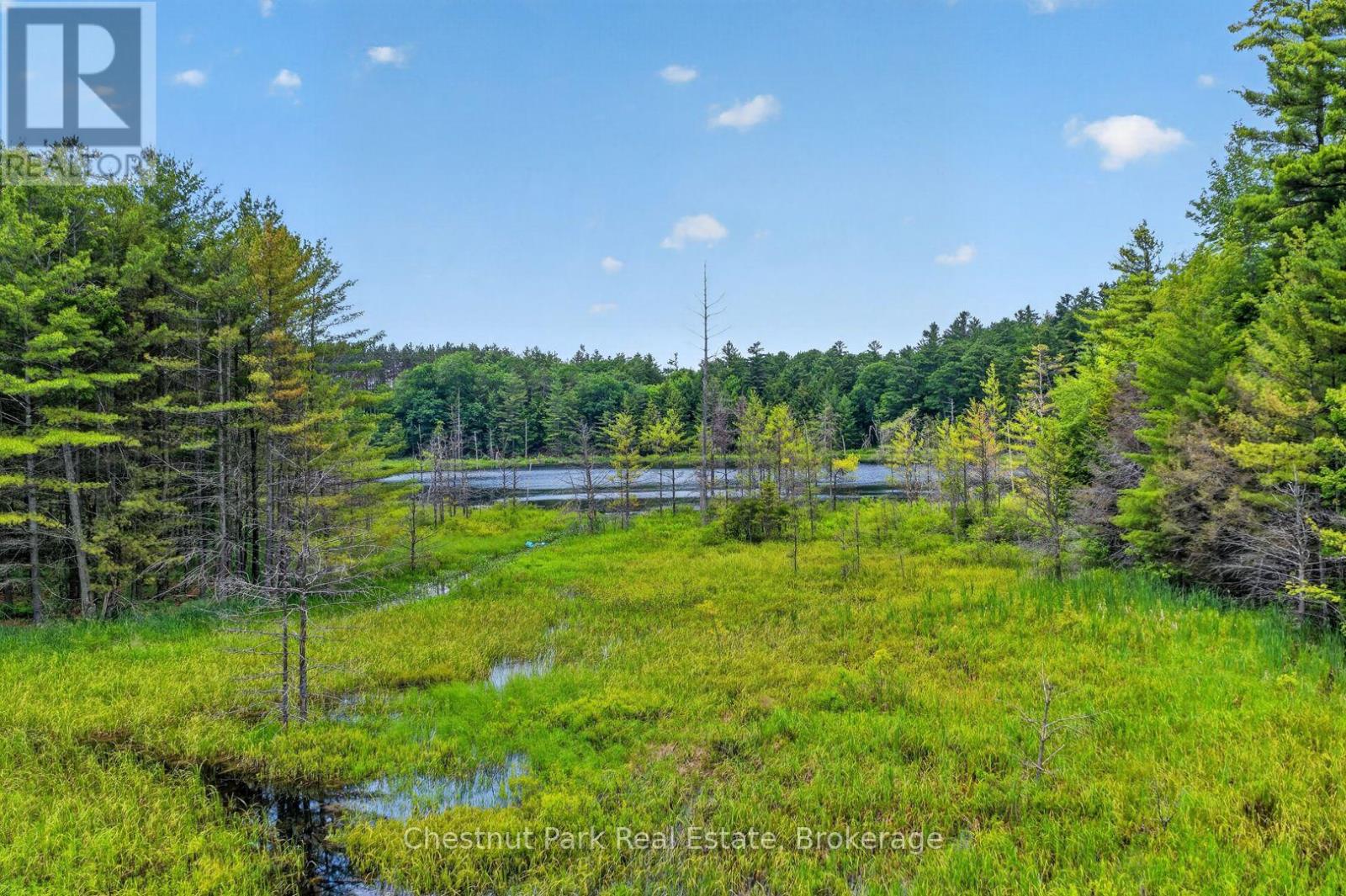 Pt Lt 33 Con 2 (Pt 2) Muskoka 118 Road W, Muskoka Lakes, Ontario  P0B 1J0 - Photo 10 - X13075362