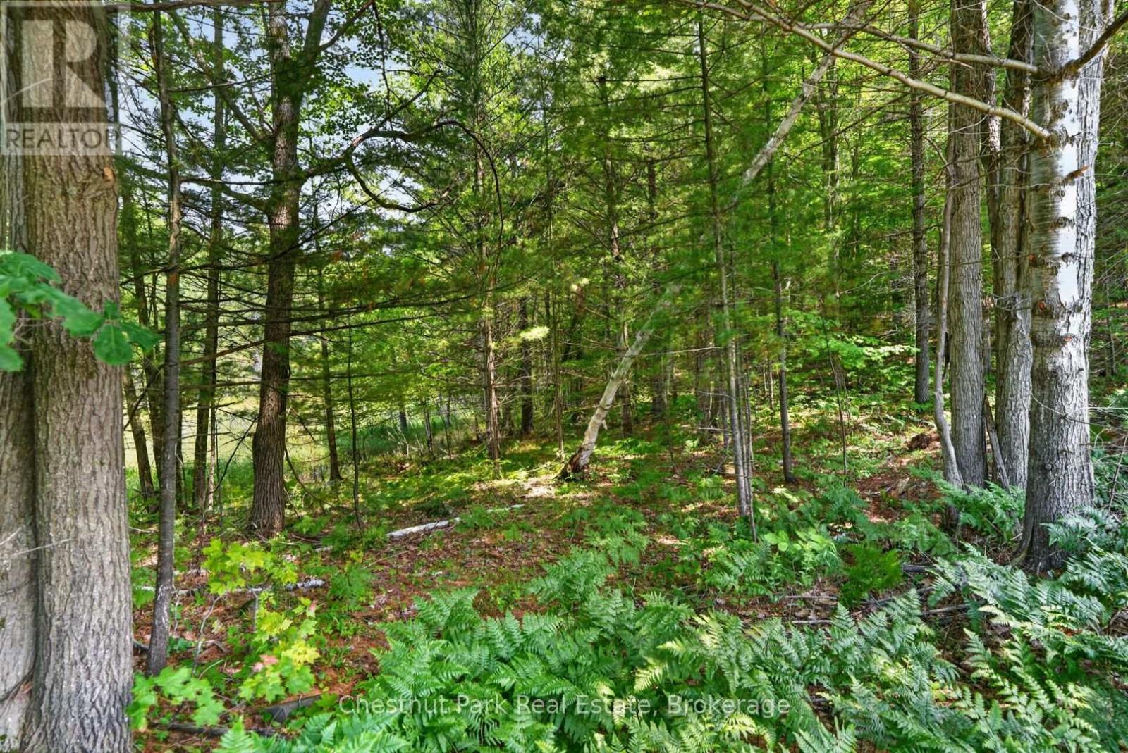Pt Lt 33 Con 2 (Pt 2) Muskoka 118 Road W, Muskoka Lakes, Ontario  P0B 1J0 - Photo 12 - X13075362