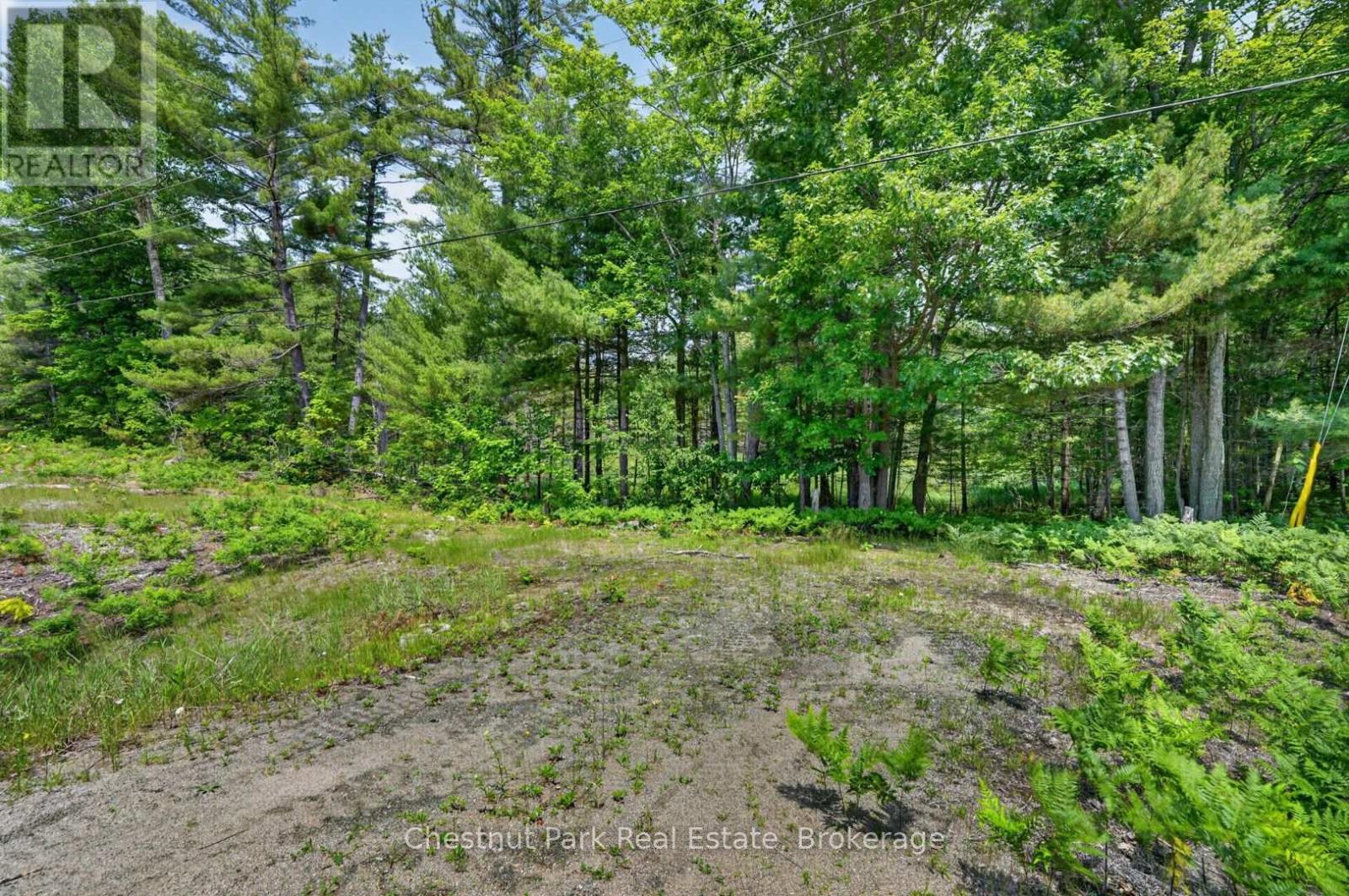 Pt Lt 33 Con 2 (Pt 2) Muskoka 118 Road W, Muskoka Lakes, Ontario  P0B 1J0 - Photo 11 - X13075362