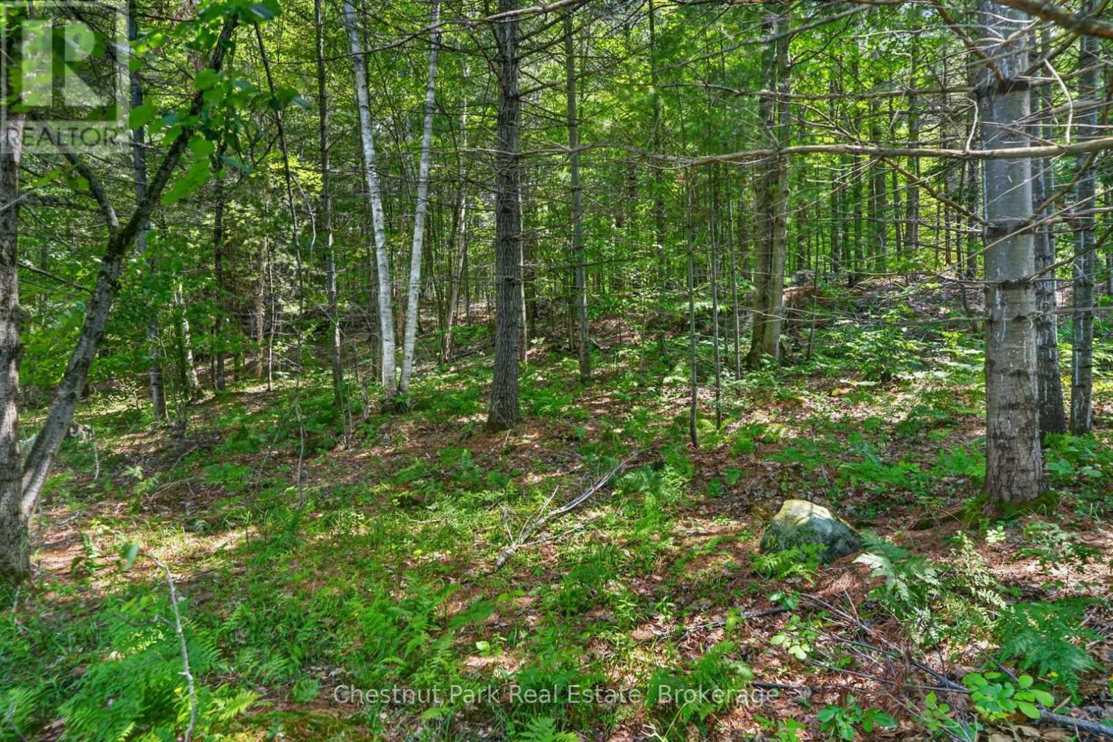 Pt Lt 33 Con 2 (Pt 2) Muskoka 118 Road W, Muskoka Lakes, Ontario  P0B 1J0 - Photo 17 - X13075362
