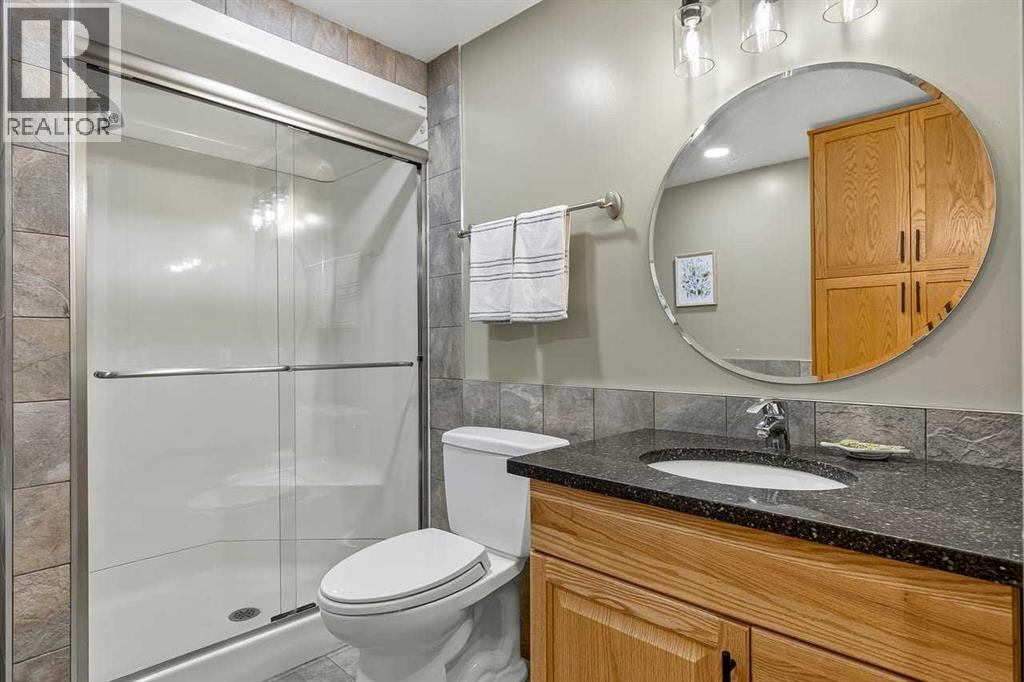 115 Sunvista Court SE, Calgary, Alberta  T2X 3G6 - Photo 39 - A2325067