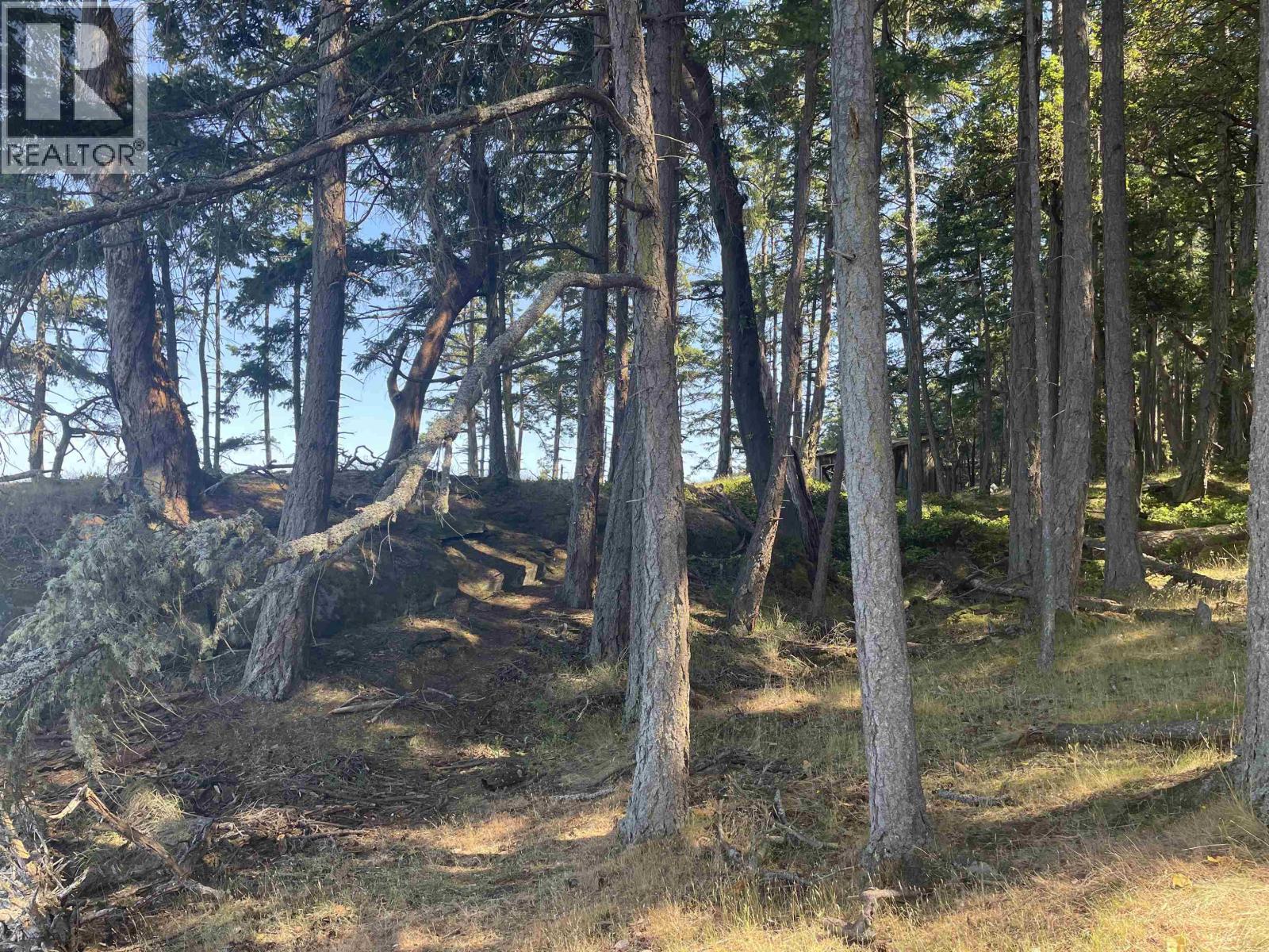 Lot 1 Valdes Island, Other Islands, British Columbia  V0V 0V0 - Photo 12 - R3144900