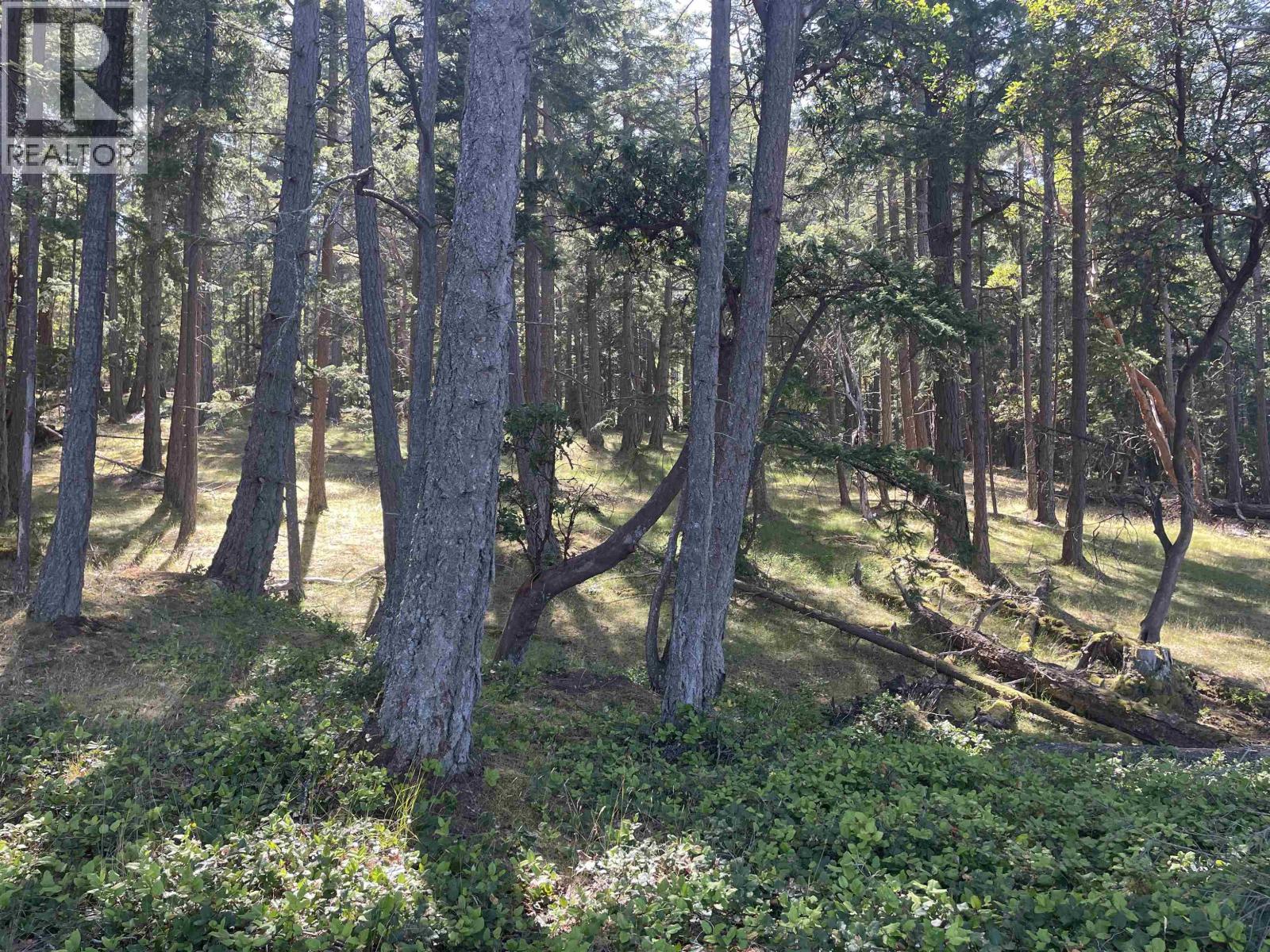 Lot 1 Valdes Island, Other Islands, British Columbia  V0V 0V0 - Photo 20 - R3144900