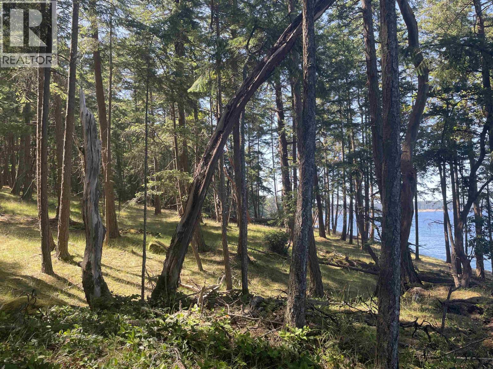 Lot 1 Valdes Island, Other Islands, British Columbia  V0V 0V0 - Photo 14 - R3144900