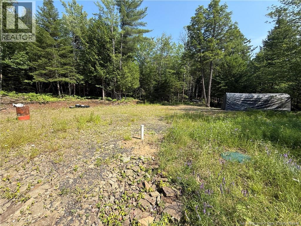 306 Bridge Street, Minto, New Brunswick E4B 2X4 - Photo 13 - NB143502