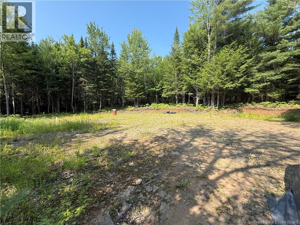 306 Bridge Street, Minto, New Brunswick E4B 2X4 - Photo 14 - NB143502