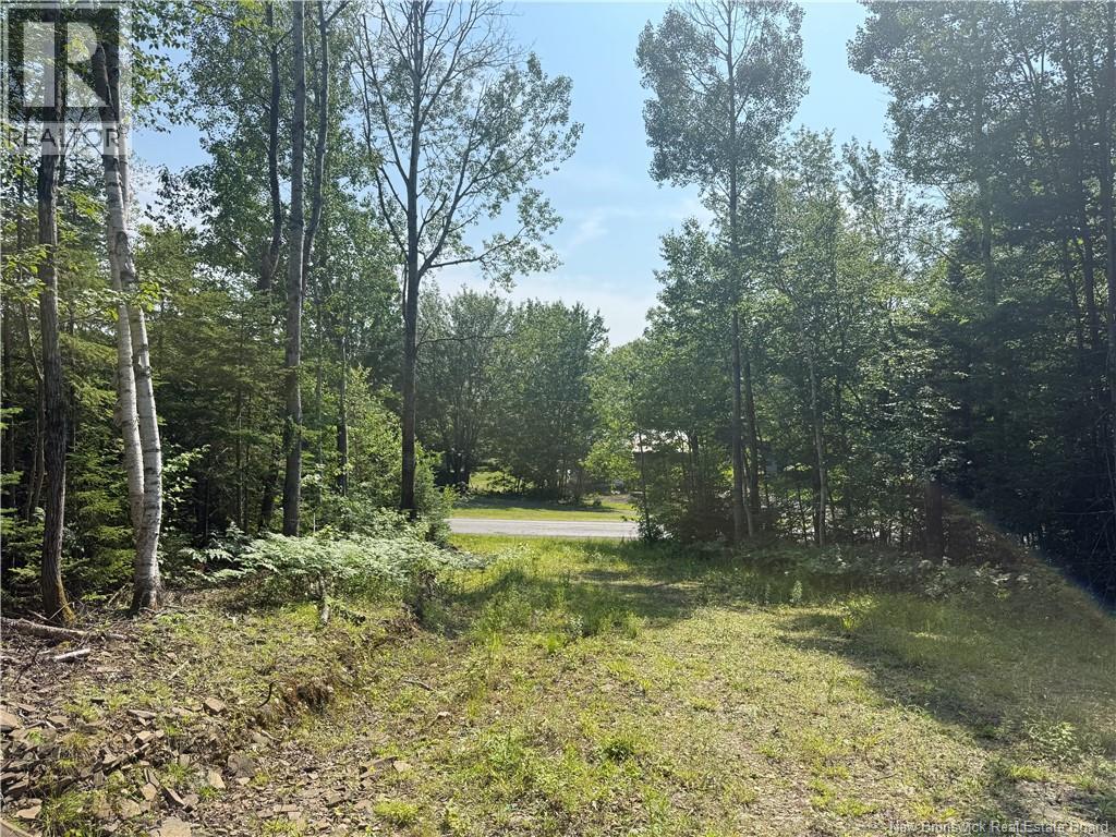306 Bridge Street, Minto, New Brunswick E4B 2X4 - Photo 5 - NB143502