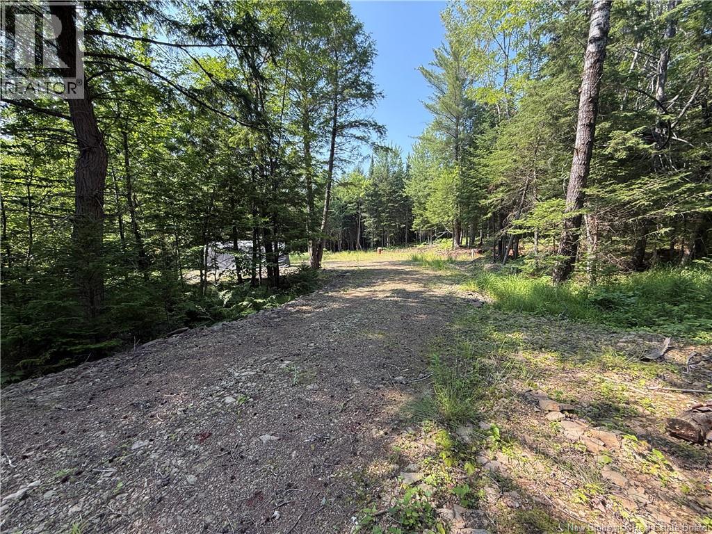 306 Bridge Street, Minto, New Brunswick E4B 2X4 - Photo 9 - NB143502
