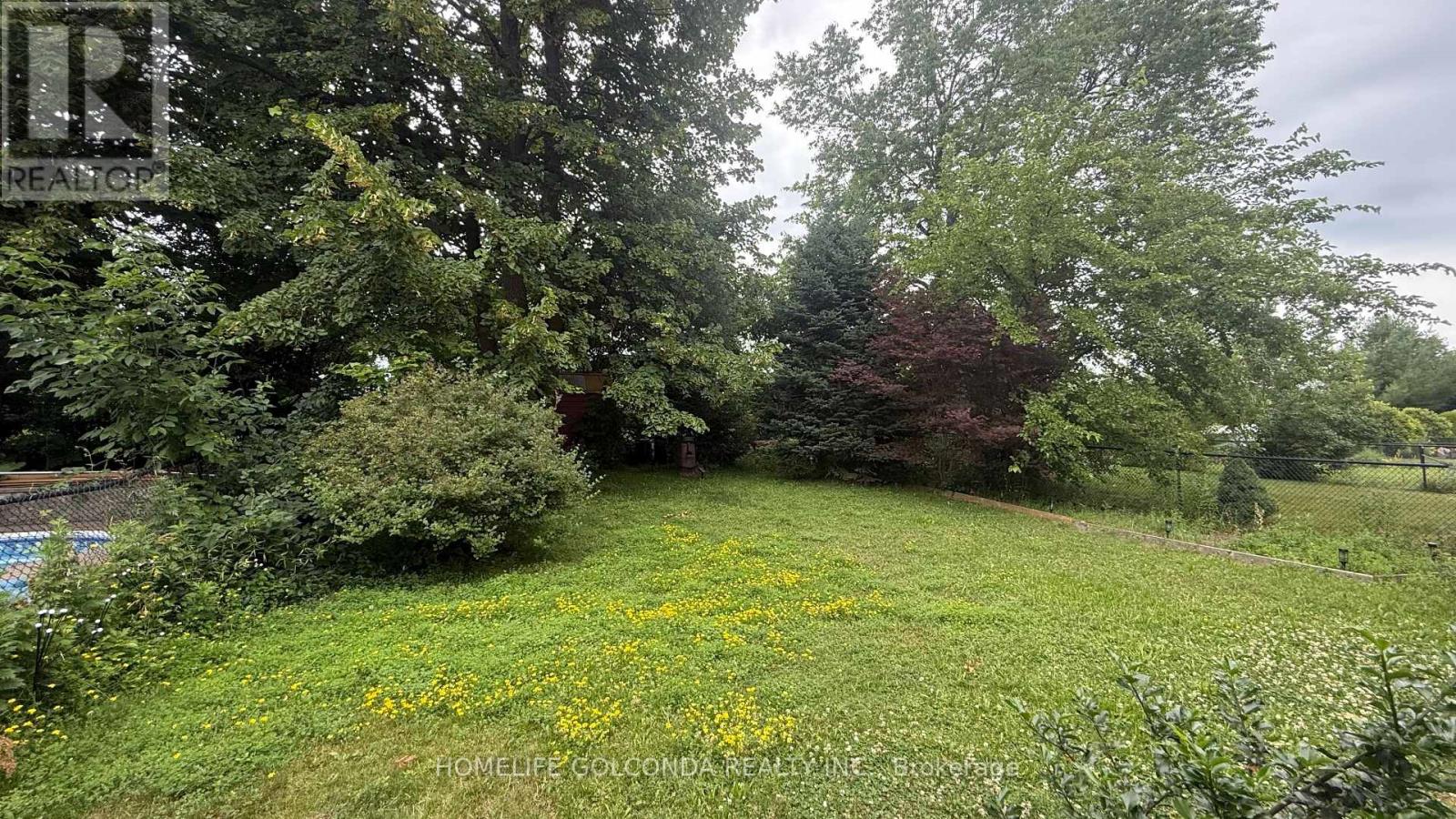 95 Owl Ridge Drive, Richmond Hill, Ontario  L4S 1R1 - Photo 22 - N13547202