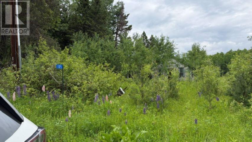 105 Larson Rd, Neebing, Ontario  P7L 0A4 - Photo 2 - TB2601873