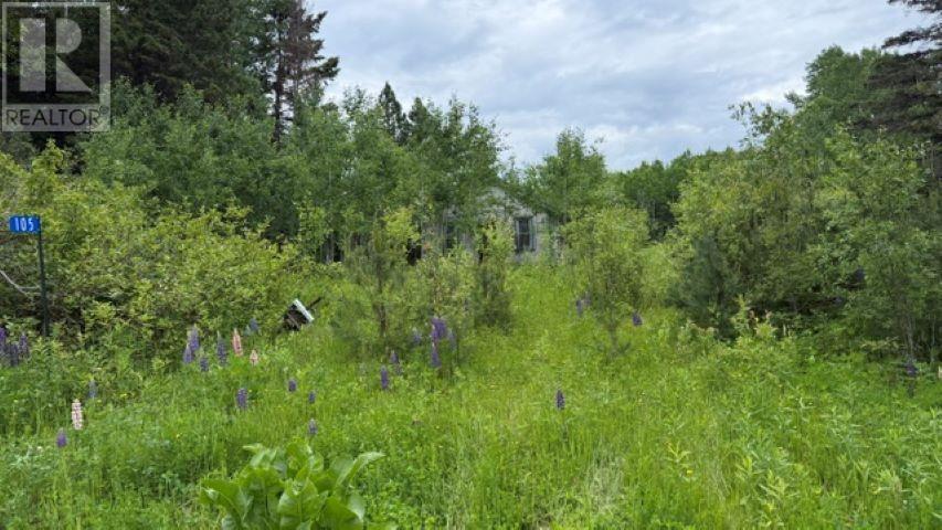 105 Larson Rd, Neebing, Ontario