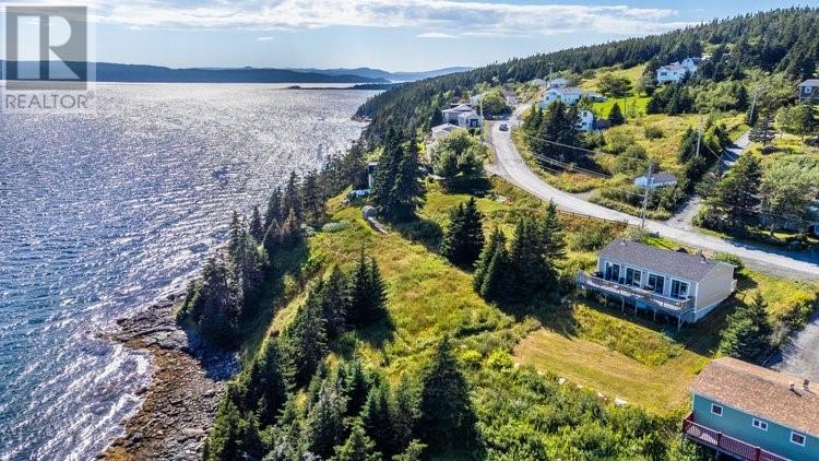 21 Front Road, Dildo, Newfoundland & Labrador  A0B 1P0 - Photo 3 - 1299973