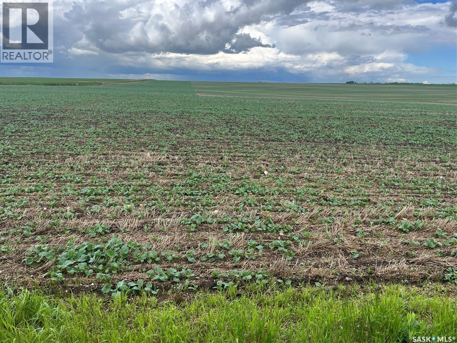 Balon Farm R.m. # 401-237 Acres, Wakaw, Saskatchewan  S0K 4P0 - Photo 4 - SK041737