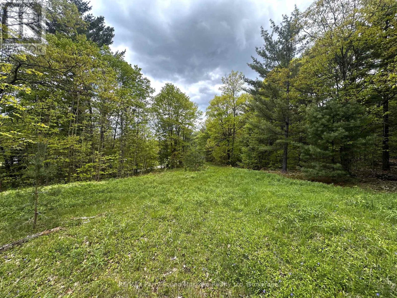 22a Lock Street, Seguin, Ontario  P0C 1J0 - Photo 12 - X12907554
