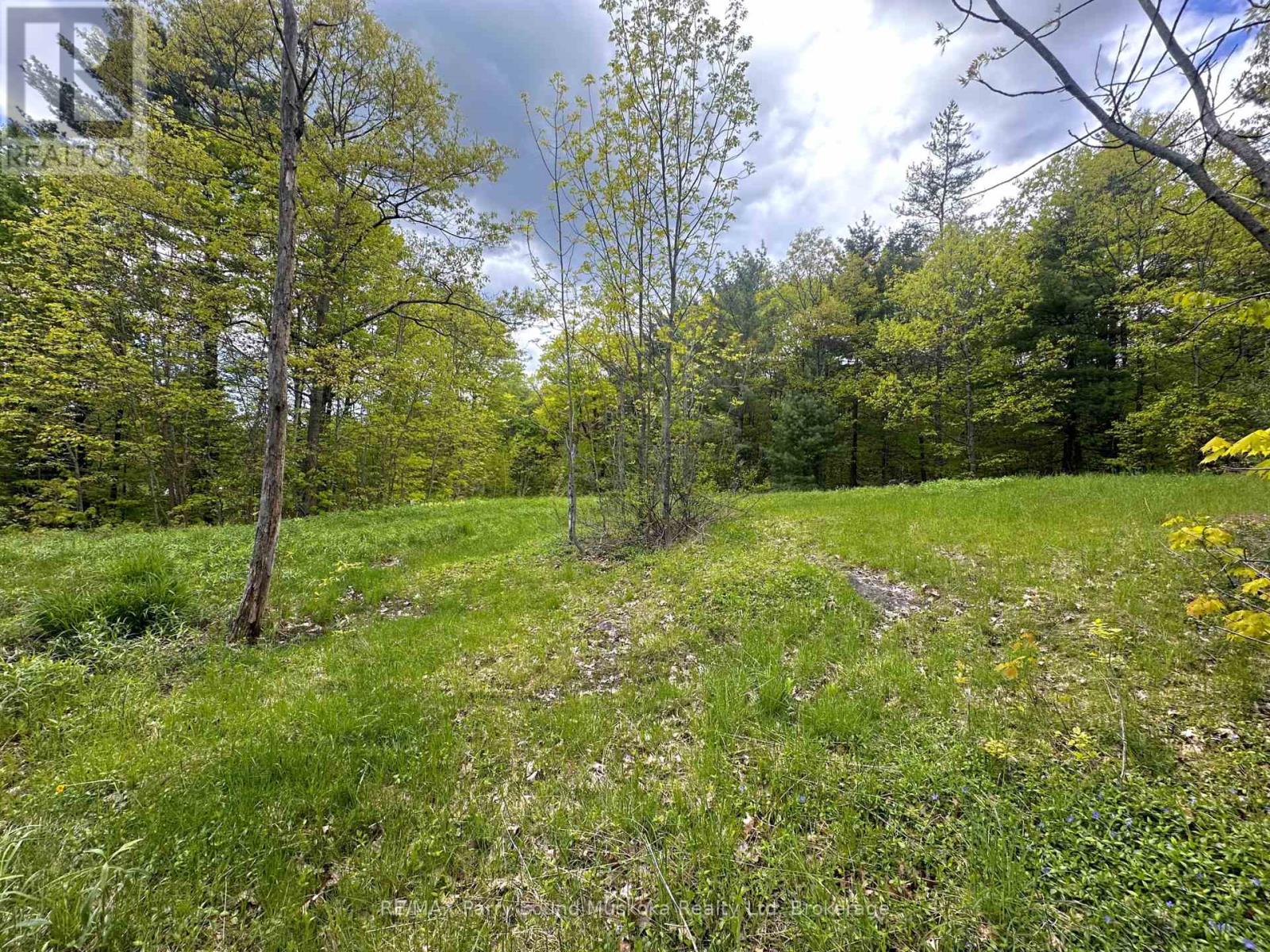 22a Lock Street, Seguin, Ontario  P0C 1J0 - Photo 14 - X12907554