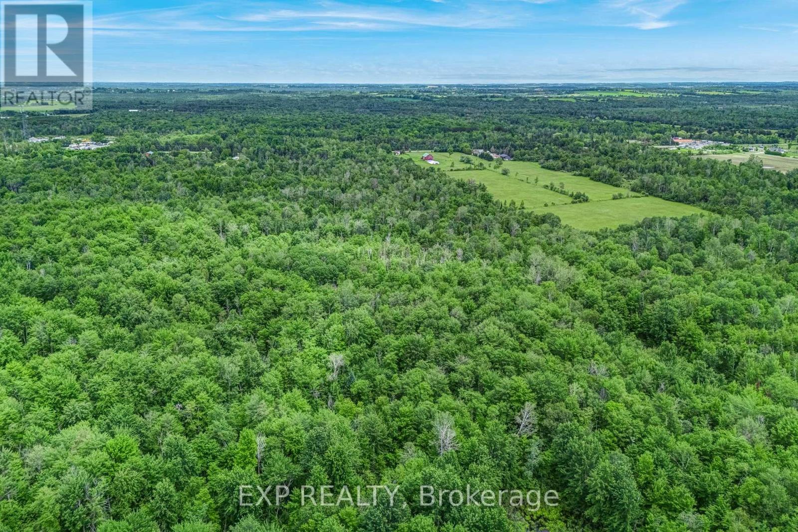 22262 Highway 48, East Gwillimbury, Ontario  L0G 1M0 - Photo 6 - N13547512