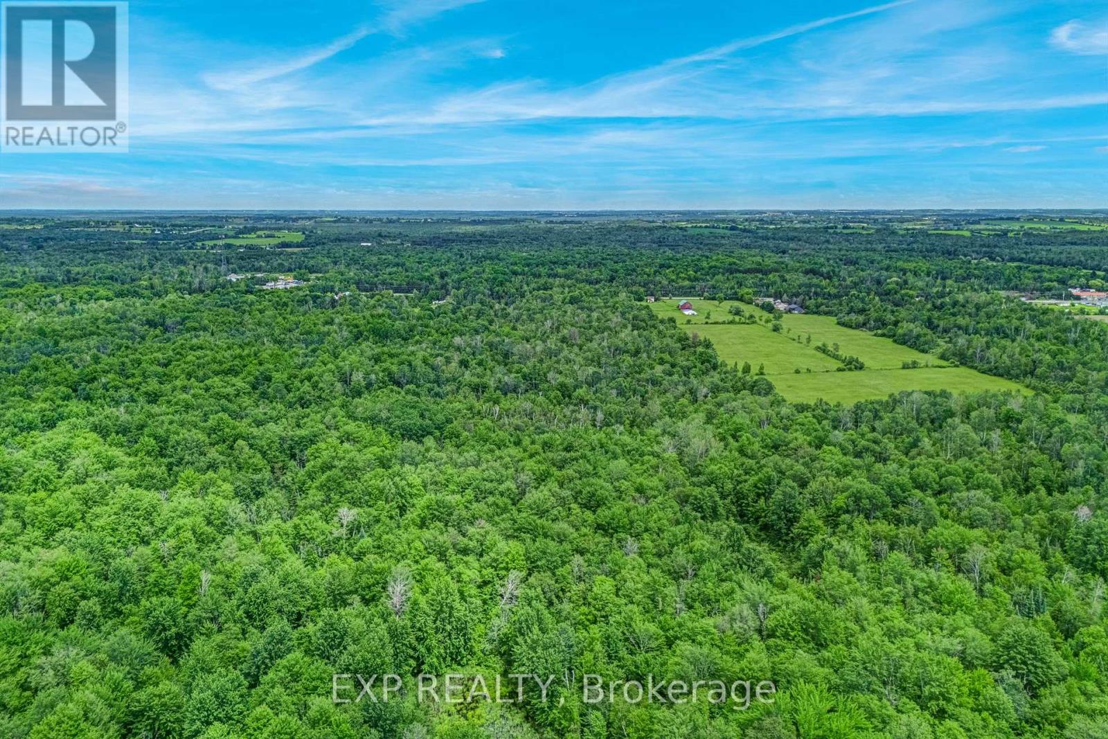 22262 Highway 48, East Gwillimbury, Ontario  L0G 1M0 - Photo 7 - N13547512