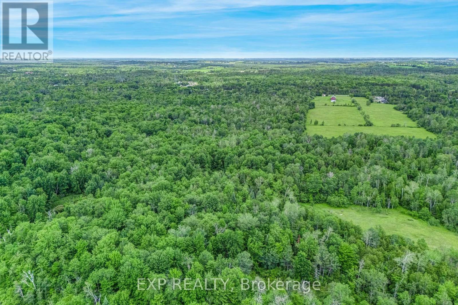 22262 Highway 48, East Gwillimbury, Ontario  L0G 1M0 - Photo 8 - N13547512