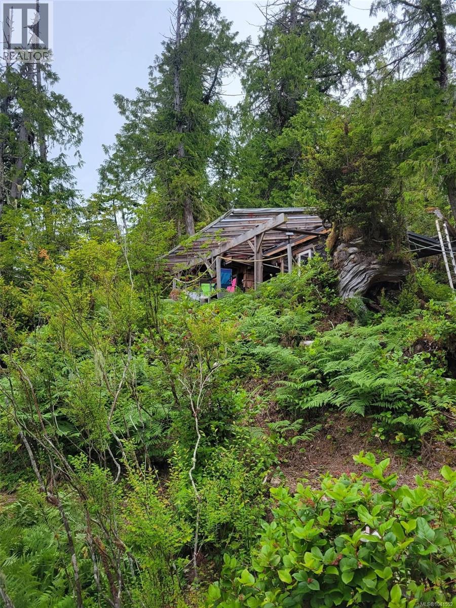 28 Hot Springs, Tofino, British Columbia  V0R 2Z0 - Photo 5 - 1041552