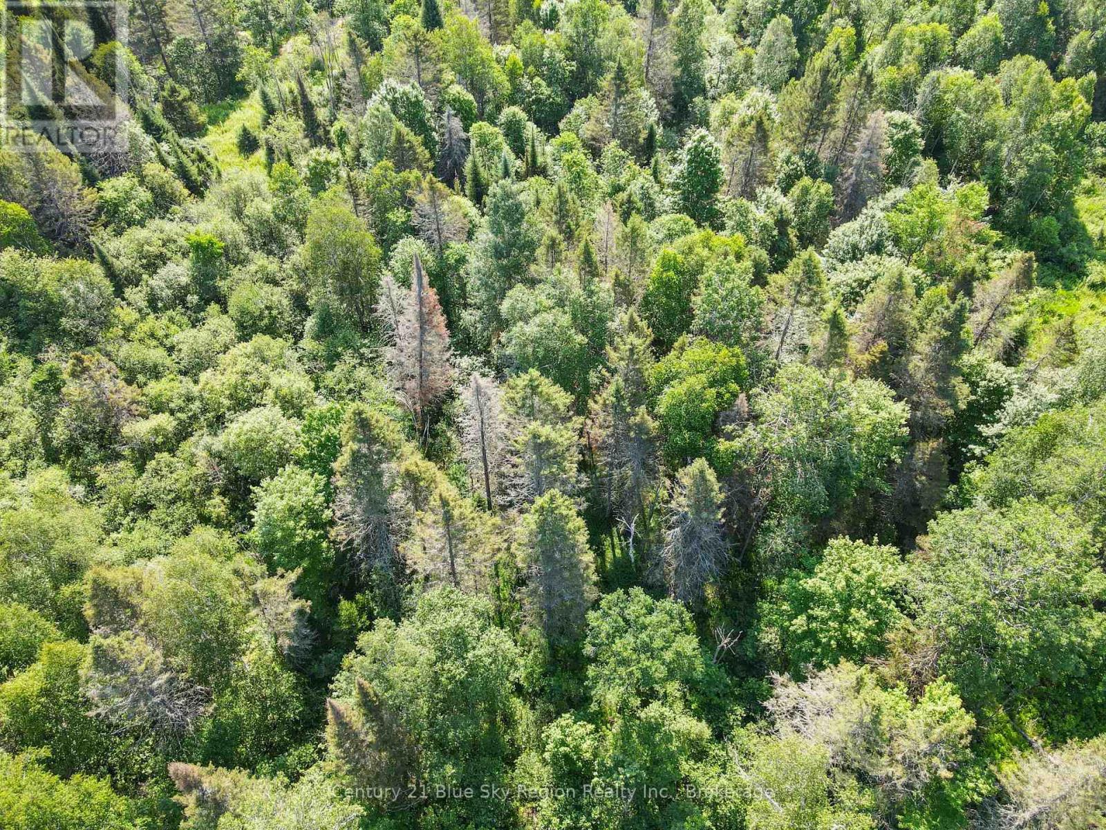 Lot 181 Con A Alsace Road, Nipissing, Ontario  P0H 1Z0 - Photo 6 - X13547602