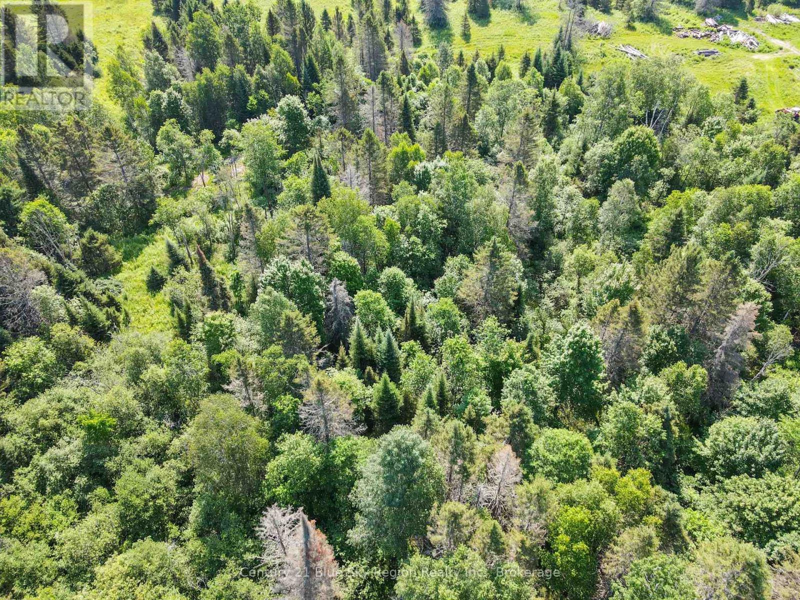 Lot 181 Con A Alsace Road, Nipissing, Ontario  P0H 1Z0 - Photo 7 - X13547602