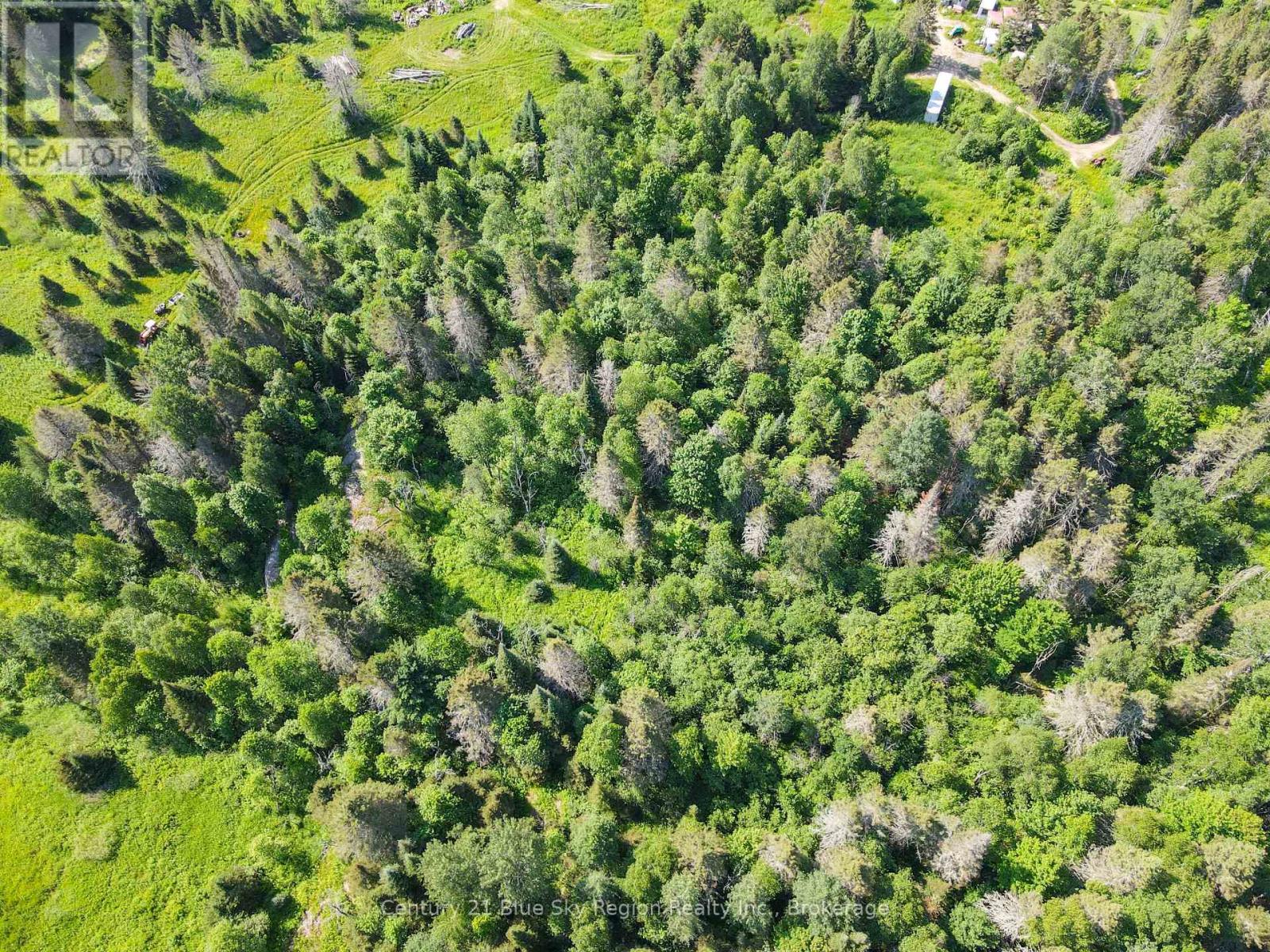 Lot 181 Con A Alsace Road, Nipissing, Ontario  P0H 1Z0 - Photo 9 - X13547602