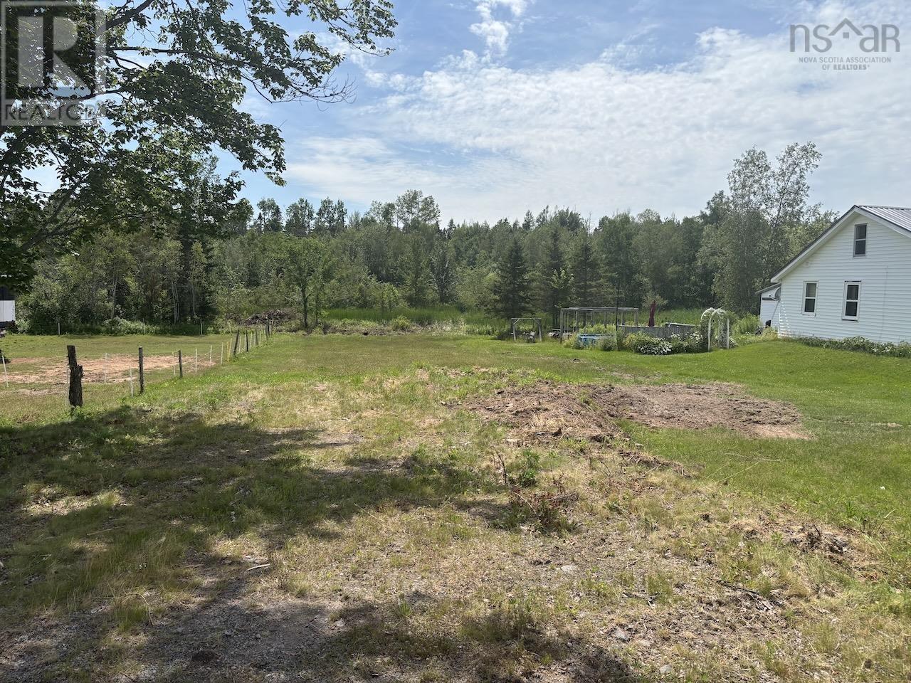 picture 1