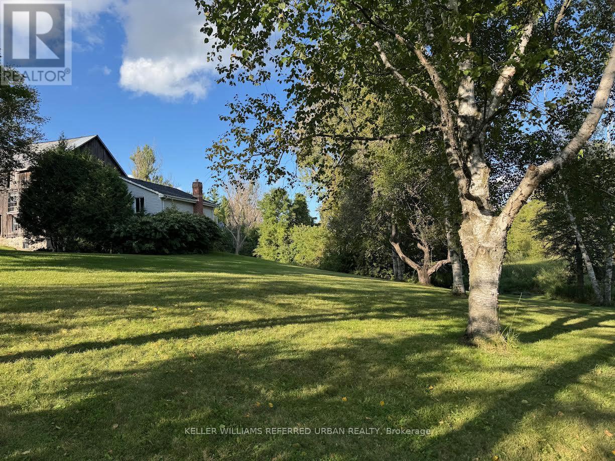 10702 Highway 9, Adjala-Tosorontio, Ontario  L0N 1P0 - Photo 3 - N13547680