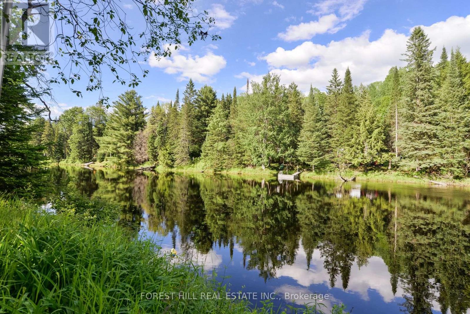 183 Bonnell Road, Bracebridge, Ontario  P1L 0M1 - Photo 27 - X13548070