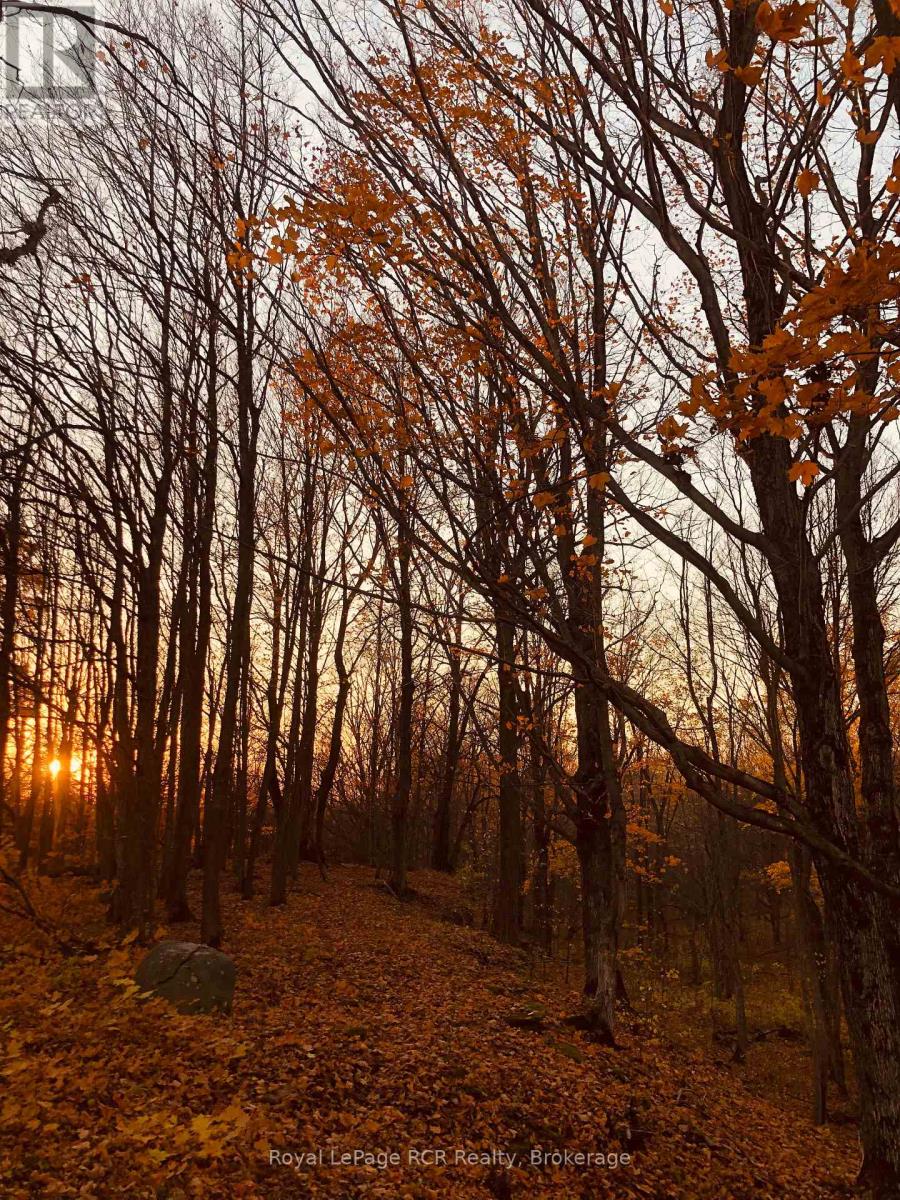 Ptlt 39 Con 25 N E, Georgian Bluffs, Ontario  N0H 2T0 - Photo 18 - X13548218