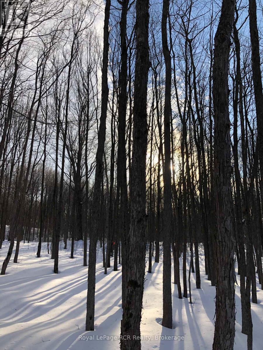 Ptlt 39 Con 25 N E, Georgian Bluffs, Ontario  N0H 2T0 - Photo 21 - X13548218