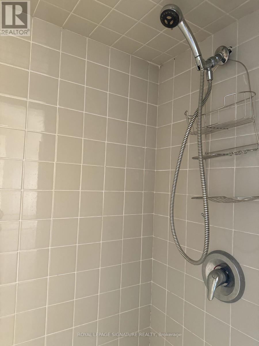 Bsmt - 31 Whitelock Crescent, Toronto, Ontario  M2K 1V9 - Photo 15 - C13547856